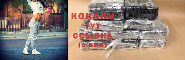 сатива Балахна