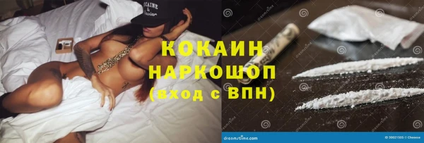 сатива Балахна