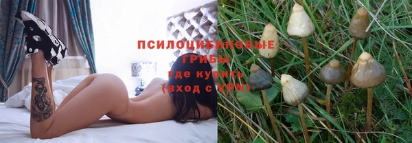 амф Баксан