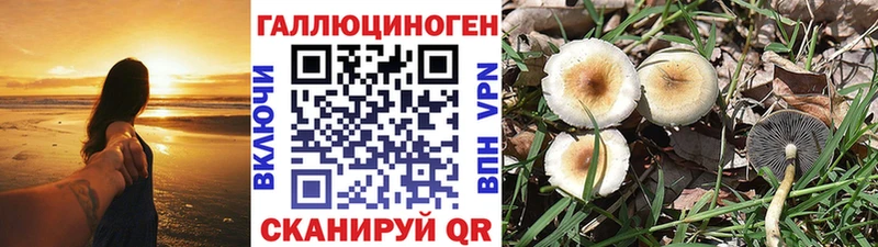 как найти наркотики  Кукмор  Галлюциногенные грибы Magic Shrooms 